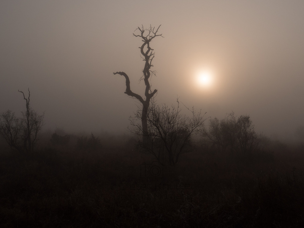 PANA2049-LR | Natur im Moment - Realisiert mit Pictrs.com