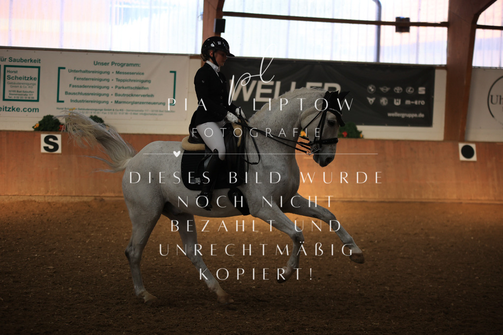 IMGT1169 | pl-fotografie