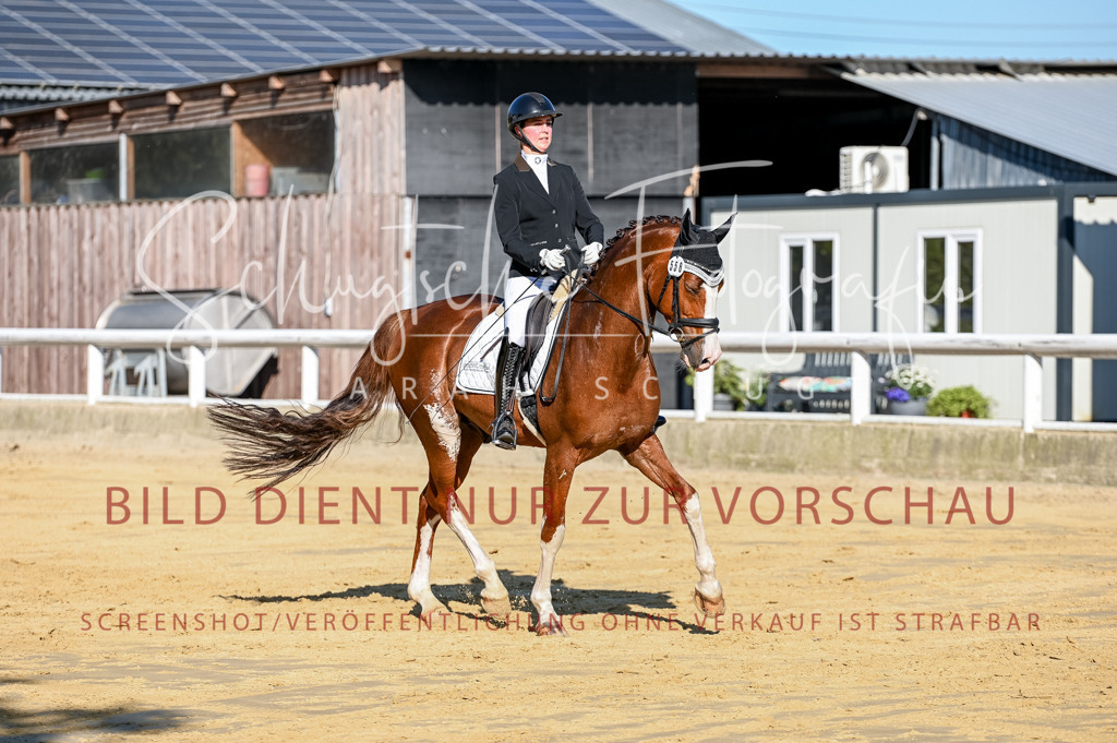 Schugtsche-Aluta25-51.Dressurpferdeprf.M-53 | Schugtsche Fotografie - Realisiert mit Pictrs.com