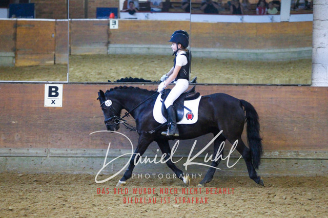 DKP44423 | Turniersportfotografie; Pferdefotografie; Dressurfotografie