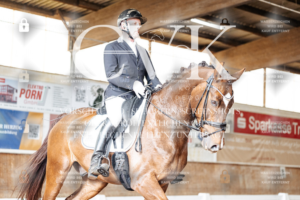 CK901613 | Turnierfotografie Pferdefotografie Trier Rheinland-Pfalz Pferdesport Reitsport Tierfotografie Sportfotografie Pferdevideo Pferdevideografie Equestrianvideography equestrianphotography  - Realisiert mit Pictrs.com