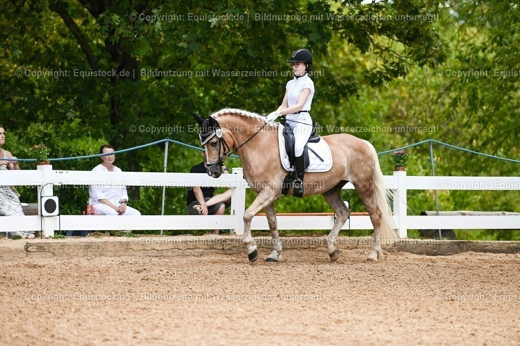 20230715_05_Dressurprüfung Kl.A++_0097 | equistock