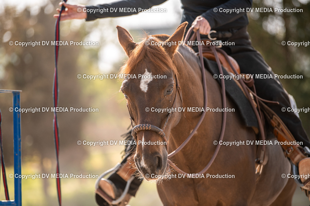 Balingen Tag 5-253 | dv-media-shop - Realisiert mit Pictrs.com