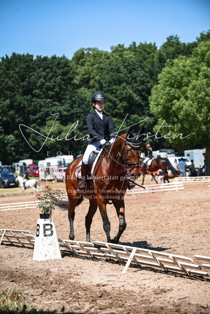 DSC_2739 | Pferde- und Turnierfotografie in Westsachsen. Pferdeportraits, Auftragszeichnungen und intuitive Kunst.