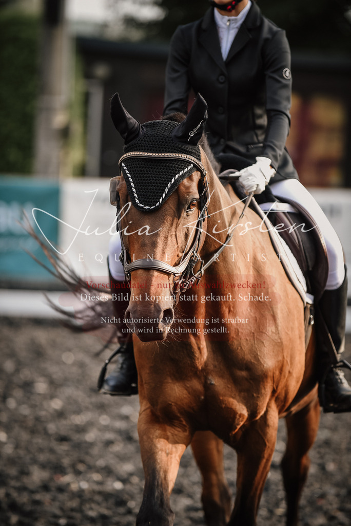 DSC_3486 | Pferde- und Turnierfotografie in Westsachsen. Pferdeportraits, Auftragszeichnungen und intuitive Kunst.