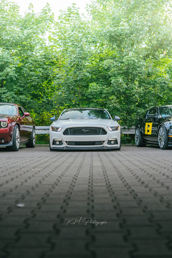 km_photographs-1310 | KM-Photographs, Shootings in Bremen und umzu.Weitere Tags:Foto , Bilder , Portrait , Auto , Kamera , Bremen , Bassum , Barrien , Kostenlos , günstig , Bilder , Fotograf , Fotos , Pictures  - Realisiert mit Pictrs.com