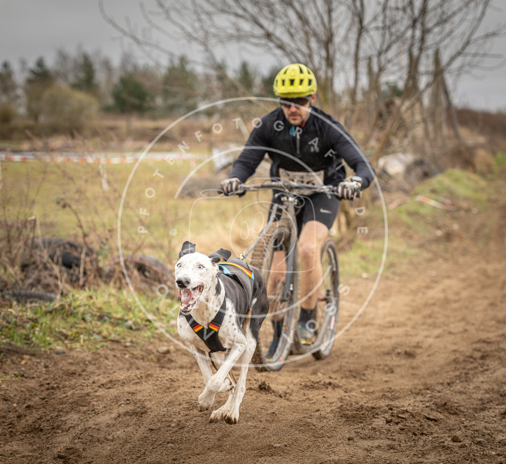 DV3A1332 | Hundefotografie, Tierfotograf, Pfotenfotografie, Fotoshooting Hund, Hunde Portrait, Hundesport, Hundeportraits, Heideshooting, Hunde, Sportfotograf, Hundefotograf, Turnierhundsport, THS,  - Realisiert mit Pictrs.com