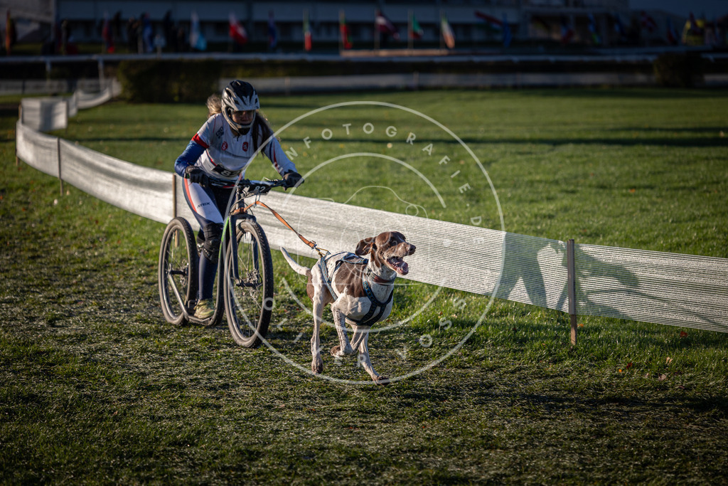CaniXpix_0L8A3424 | Hundefotografie, Tierfotograf, Pfotenfotografie, Fotoshooting Hund, Hunde Portrait, Hundesport, Hundeportraits, Heideshooting, Hunde, Sportfotograf, Hundefotograf, Turnierhundsport, THS,  - Realisiert mit Pictrs.com