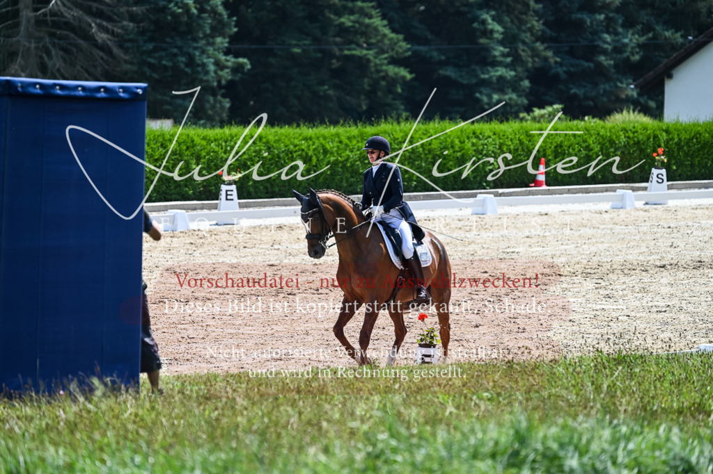 DSC_2765 | Pferde- und Turnierfotografie in Westsachsen. Pferdeportraits, Auftragszeichnungen und intuitive Kunst.