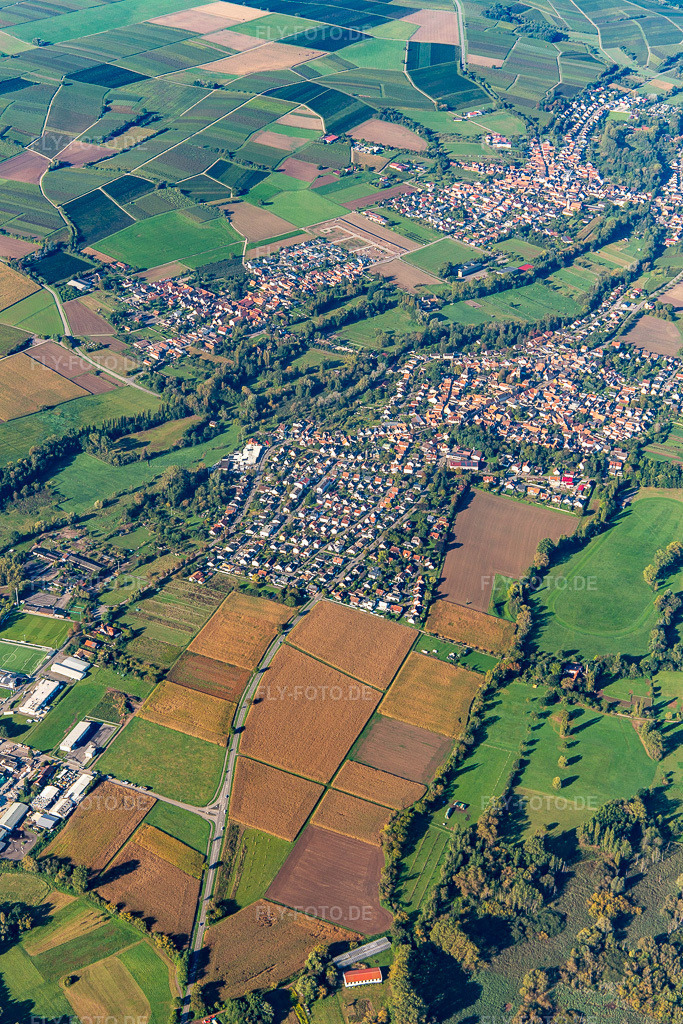 Luftbild: Ortschaften im Klingbachtal im Ortsteil Billigheim in Billigheim-Ingenheim im Bundesland Rheinland-Pfalz in Deutschland.Foto: IMG_143525.jpg vom 29.09.2024 durch Werner Riehm/FLY-FOTO.deAuflösung des Originals: 3648 x 5472 px