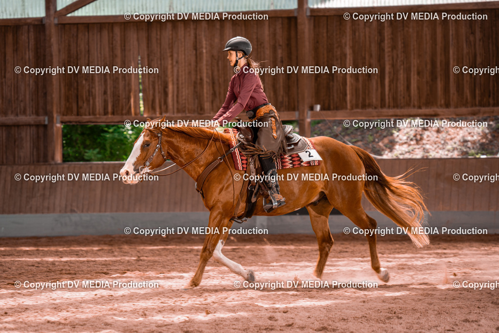 NE200740 | dv-media-shop - Realisiert mit Pictrs.com