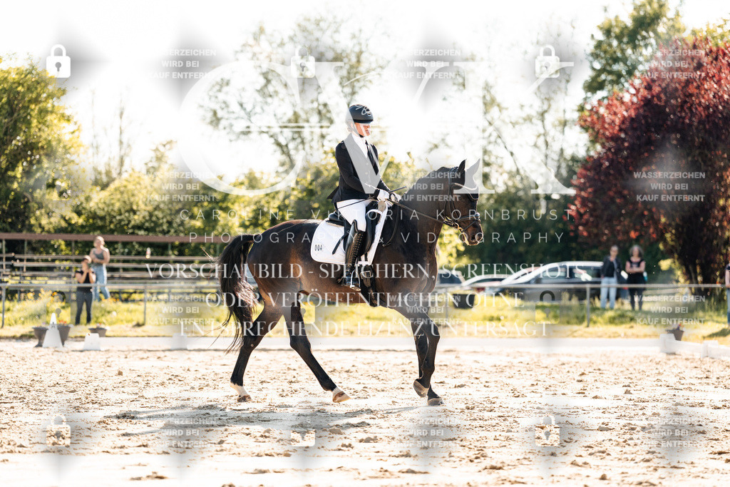 CK909968 | Turnierfotografie Pferdefotografie Trier Rheinland-Pfalz Pferdesport Reitsport Tierfotografie Sportfotografie Pferdevideo Pferdevideografie Equestrianvideography equestrianphotography  - Realisiert mit Pictrs.com