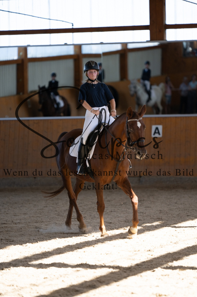 A7V02193 | Turnier/Reitfotograf