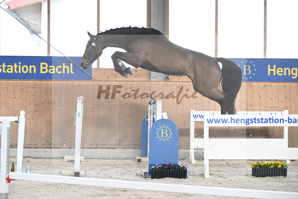 Kat-Nr. 40 Emma von Imhoff v. Cornet Obolensky_Imhoff_5250591 | hf-fotografie - Realisiert mit Pictrs.com