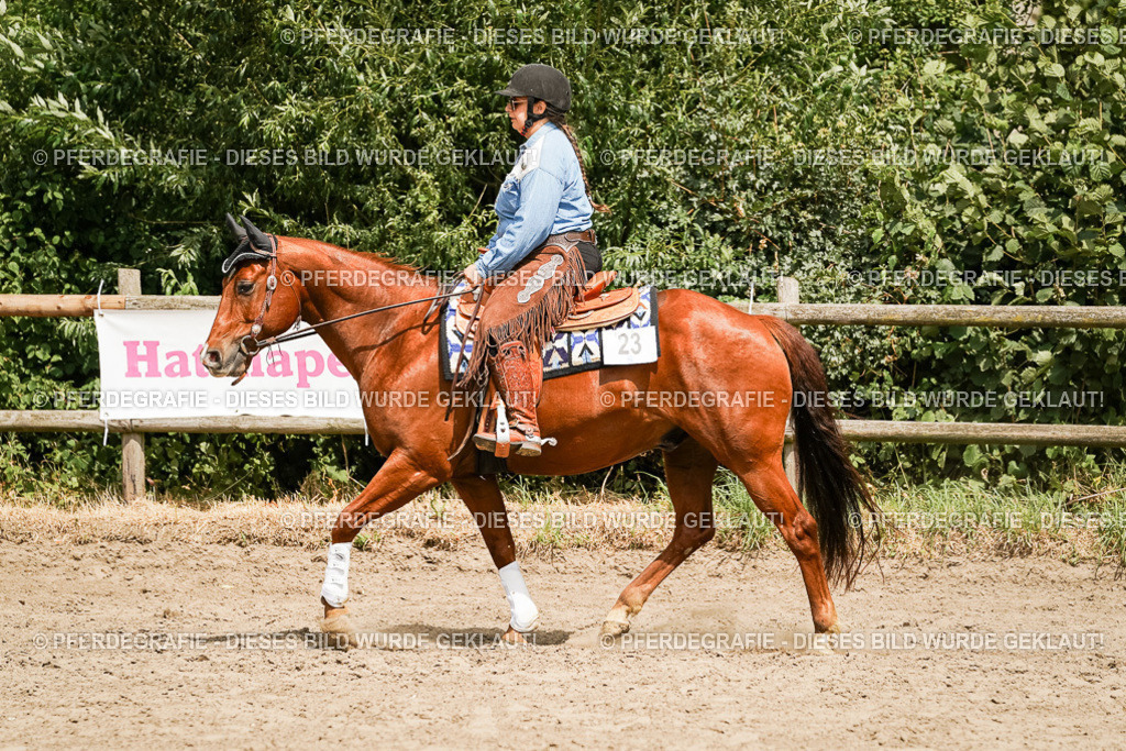 DSC00086 | Pferdegrafie