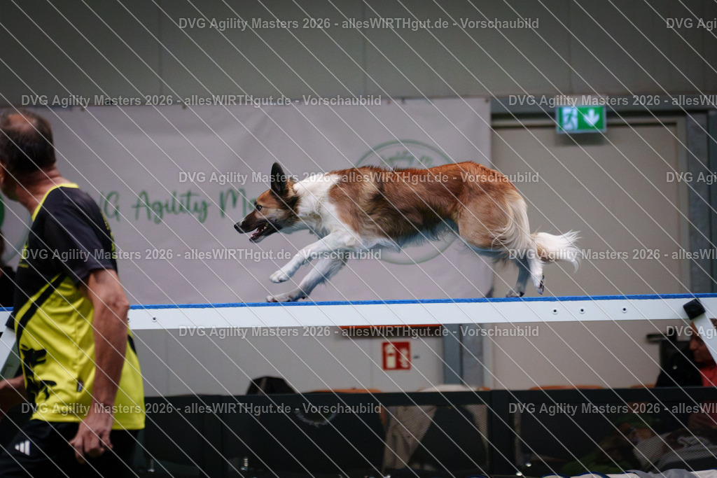 allesWIRTHgut_Tierfotografie-DVG_Agility_Masters_2026-16_52-7R508903 | Professionelle Tierfotografie in Mönchengladbach von Daniel Wirth (allesWIRTHgut). Liebevolle & natürliche Bilder von Hunden & Katzen für unvergessliche Erinnerungen.