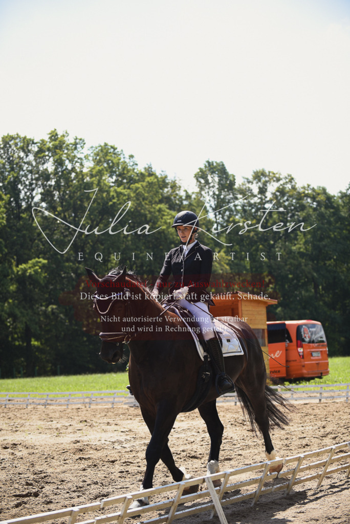 DSC_0669 | Pferde- und Turnierfotografie in Westsachsen. Pferdeportraits, Auftragszeichnungen und intuitive Kunst.
