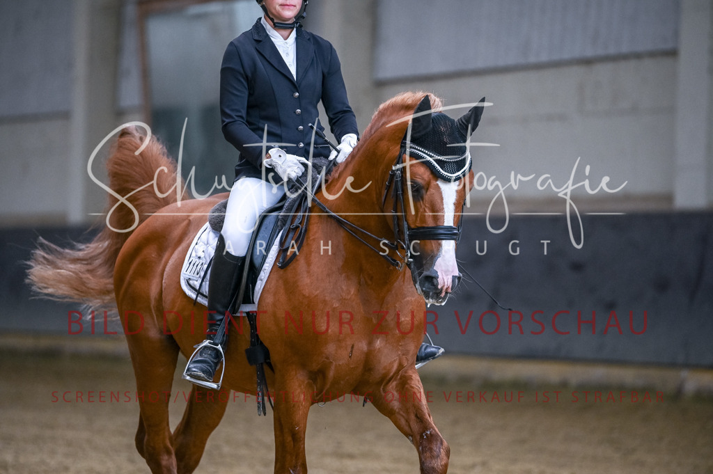 Schugtsche-Aluta25-56.Dressurprf.L1Kand.-19 | Schugtsche Fotografie - Realisiert mit Pictrs.com