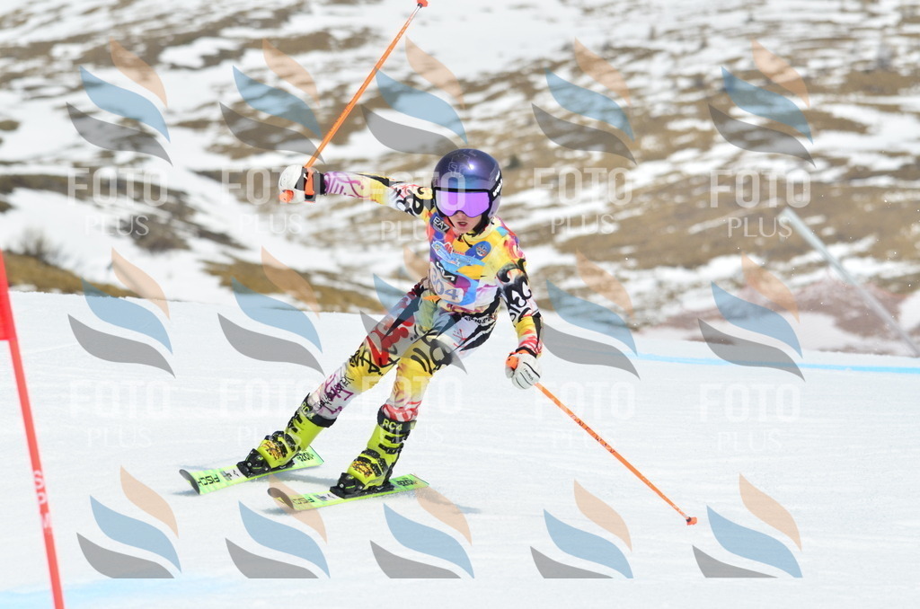 _ELE2242 | holidayphoto