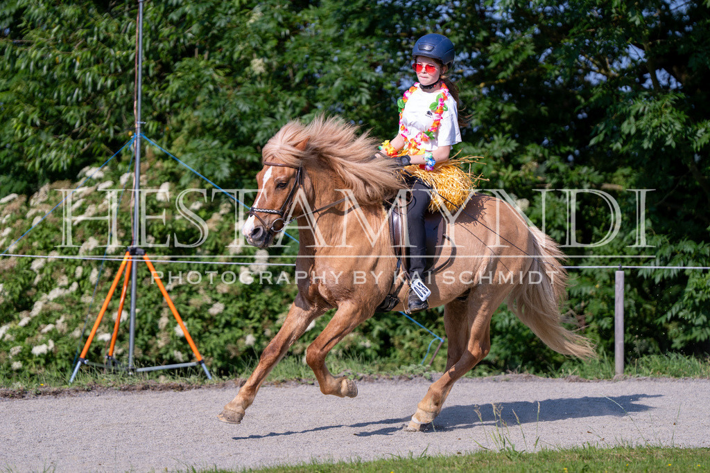 KAI07261 | Ihr sucht einen Fotografen für eure nächste OSI? Ich begleite auch euer Turnier für Islandpferde fotografisch.  - Realisiert mit Pictrs.com