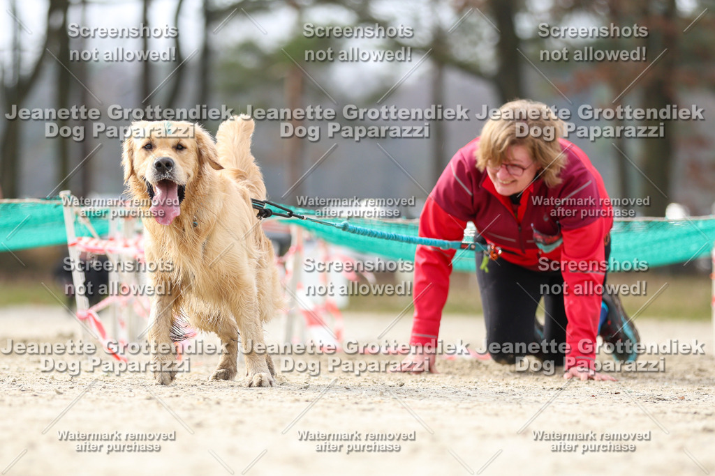 Dog Paparazzi - Strongdog North Mrz26-5359 | Dog Paparazzi Jeanette Grottendiek Fotografie & Videografie - Realisiert mit Pictrs.com