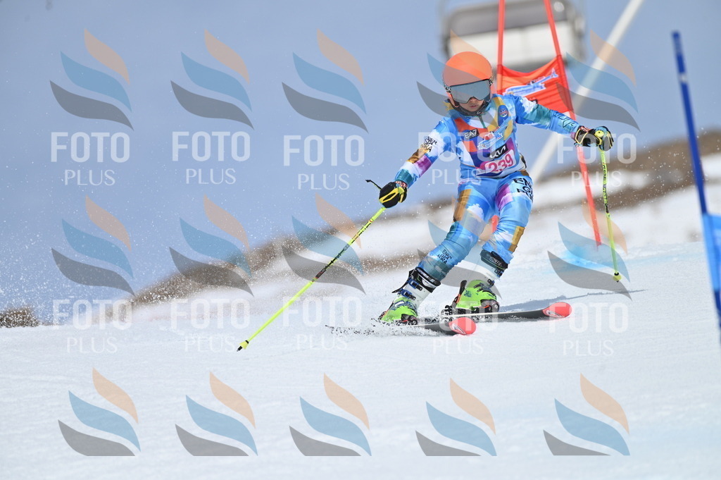 BGV_1676 | holidayphoto