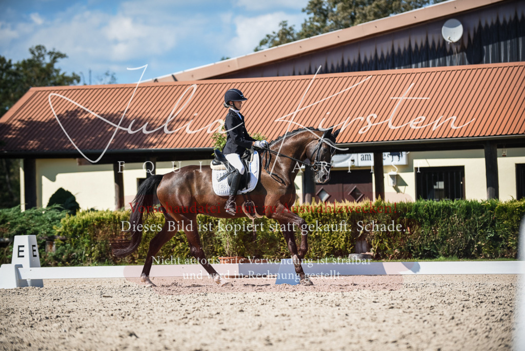 DSC_9606 | Pferde- und Turnierfotografie in Westsachsen. Pferdeportraits, Auftragszeichnungen und intuitive Kunst.