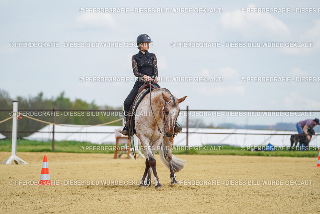 DSC05648 | Pferdegrafie