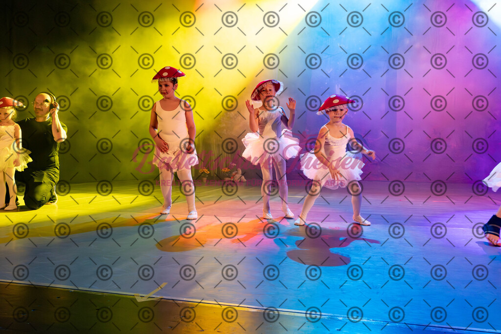 Ballettaufführung-46 | Bildershop Lem'n Entertainment - Realisiert mit Pictrs.com