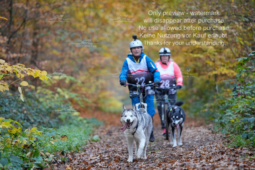 Scooter_So-92 | stephaniefillaphotographie - Realisiert mit Pictrs.com