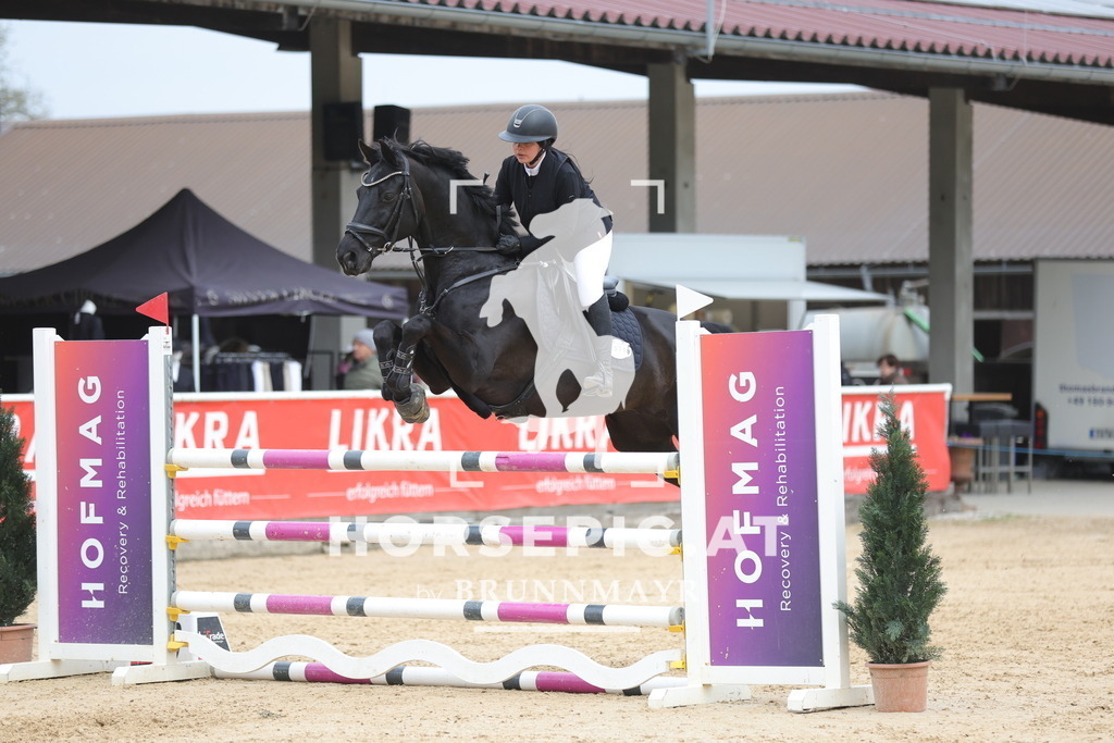 0P6A4637 | Willkommen bei Brunnmayr - Design & Fotografie – Ihrem Spezialisten für Reitturniere und Pferdeveranstaltungen in Oberösterreich, Salzburg und Bayern! Seit über 17 Jahren sind wir leidenschaftlich dabei.