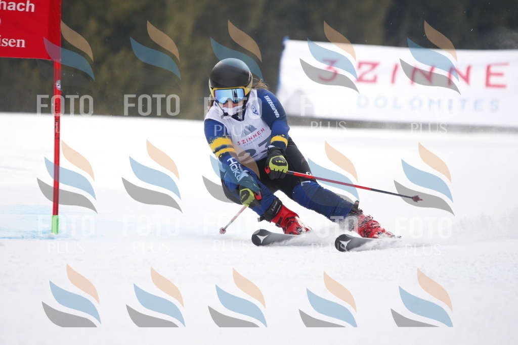 D4911 | holidayphoto