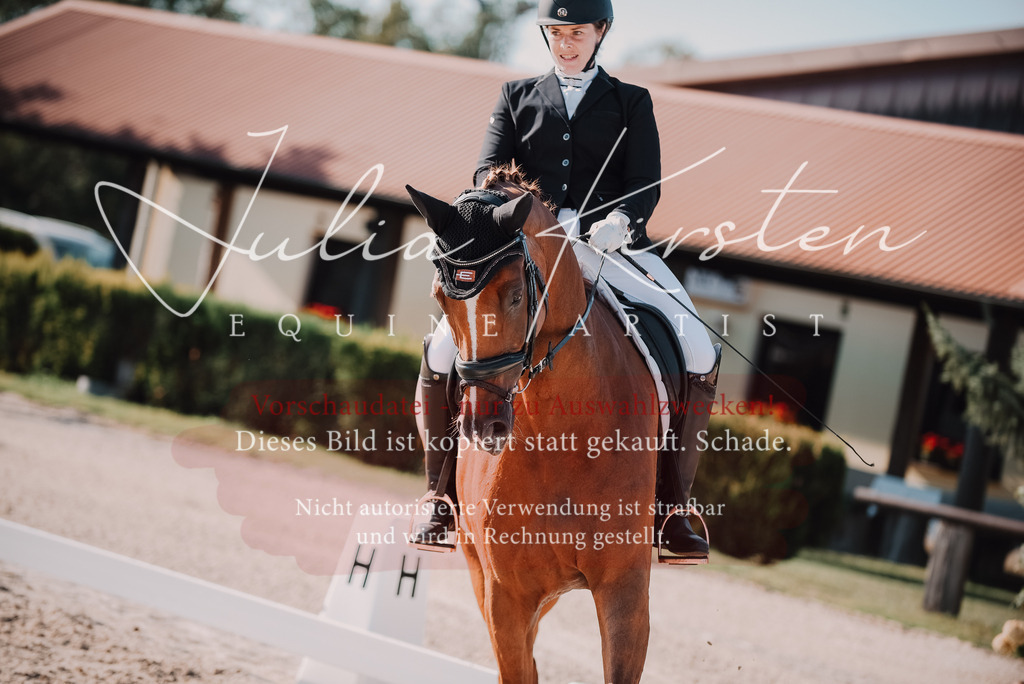 DSC_0431 | Pferde- und Turnierfotografie in Westsachsen. Pferdeportraits, Auftragszeichnungen und intuitive Kunst.