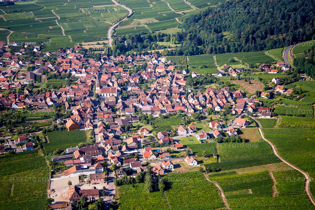 Aerial view: Agricultural fields and arable land in Kintzheim in the state Bas-Rhin, France.Photo: IMG_093288.jpg taken on 08/16/2016 by Werner Riehm/FLY-FOTO.comResolution of the original: 5323 x 3549 px