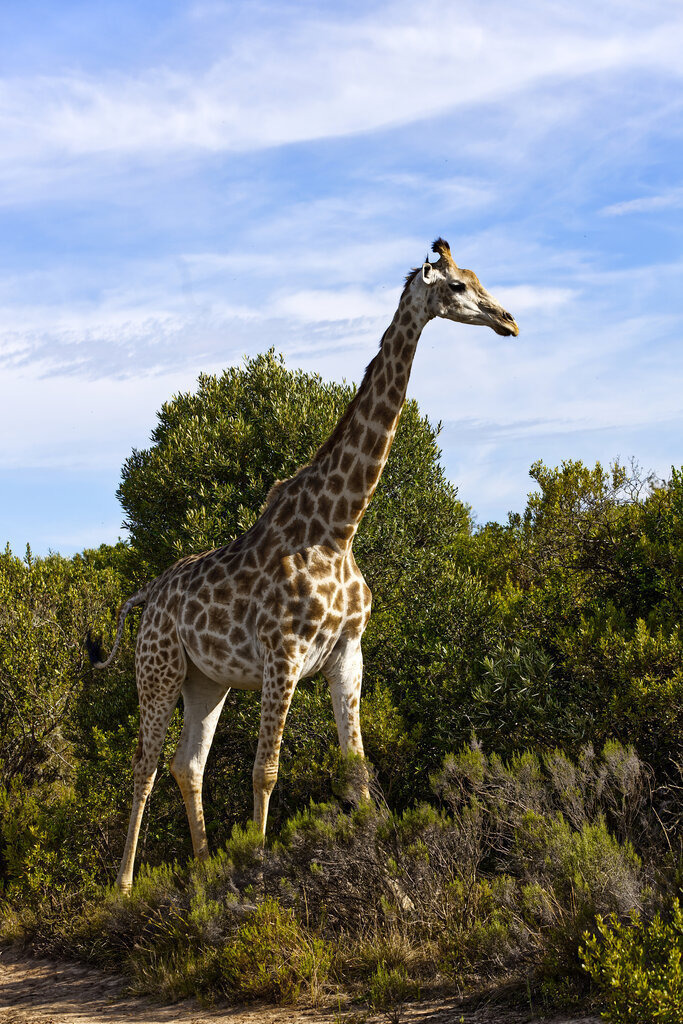 1H5A7457a | ansichtssache