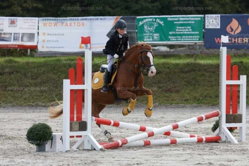 JoYaR3_Heidehof_00458 | JoYa Fotografie - Realisiert mit Pictrs.com