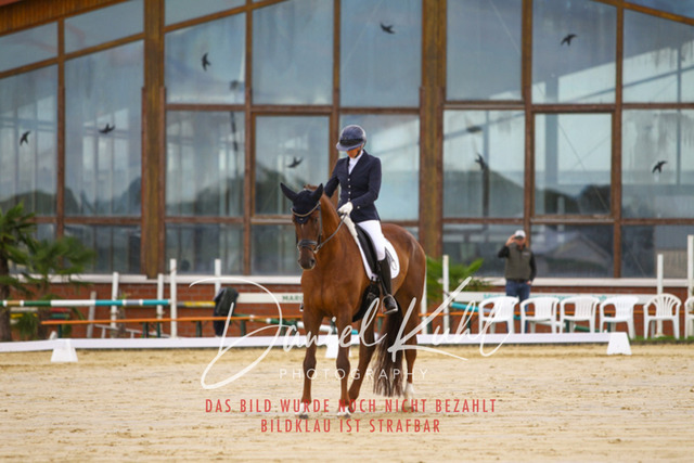 DKP43803 | Turniersportfotografie; Pferdefotografie; Dressurfotografie