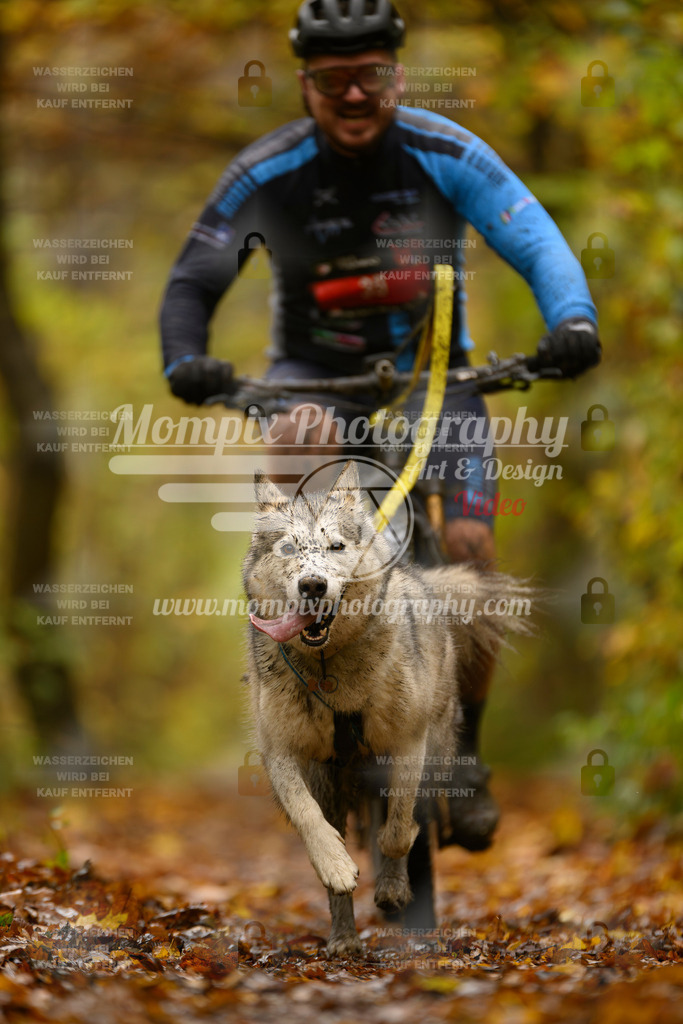 MompixPhotography_CD7S_DI_Bike-68 | mompixphotography