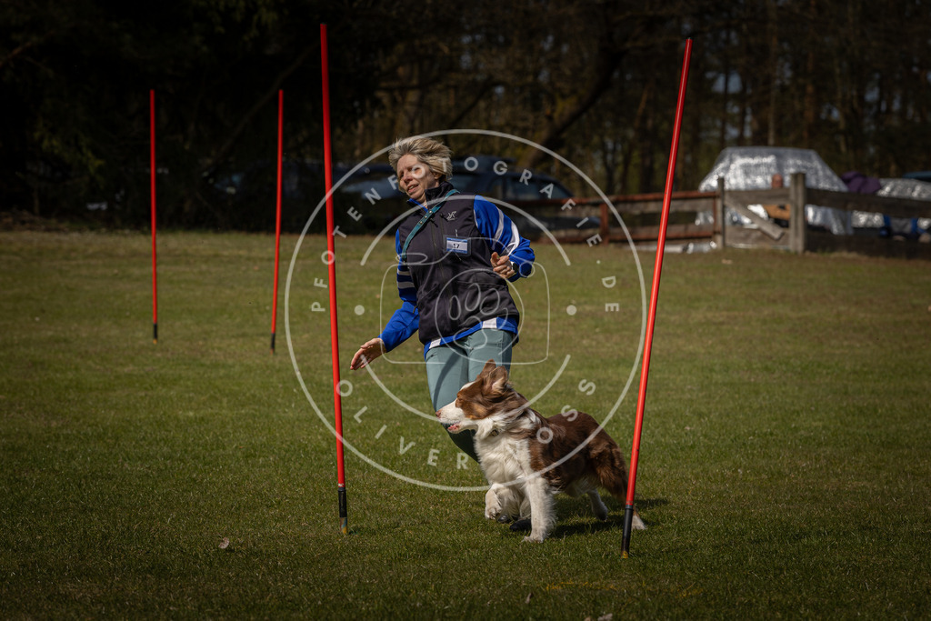 Pfotenfotografie_DV3A4171 | Hundefotografie, Tierfotograf, Pfotenfotografie, Fotoshooting Hund, Hunde Portrait, Hundesport, Hundeportraits, Heideshooting, Hunde, Sportfotograf, Hundefotograf, Turnierhundsport, THS,  - Realisiert mit Pictrs.com