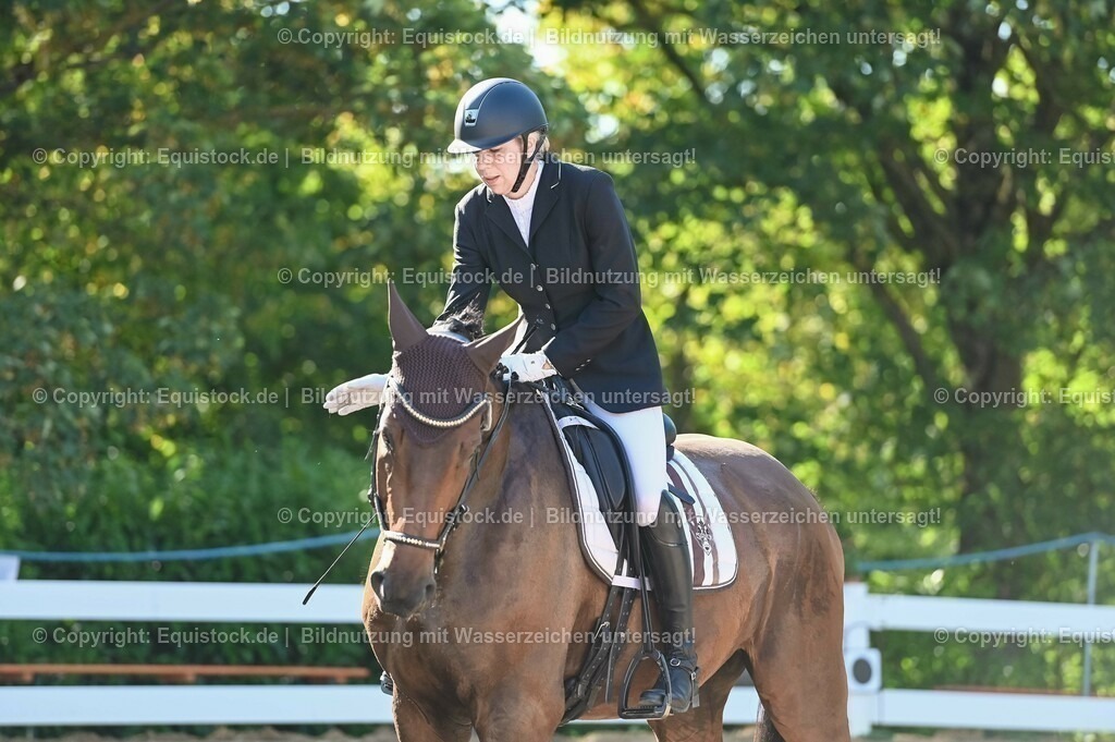 20230715_06_Dressurpferdeprfg. Kl.A_0059 | equistock