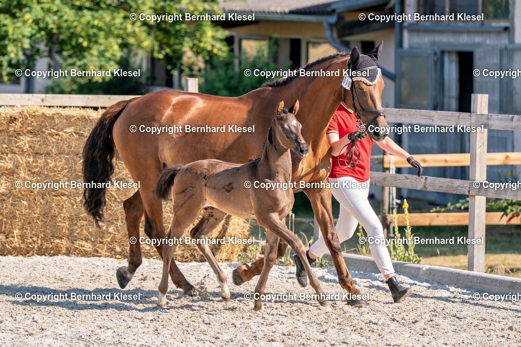 2A906494 | foto-team-bernhard - Realisiert mit Pictrs.com