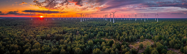 2026-07-10_21-29-53_000 | Die Sonne geht über einem Waldgebiet unter. Windkraftanlagen stehen in Reih und Glied. Die Landschaft ist grün und weitläufig, Teltow-Fläming, Brandenburg, Deutschland - Realisiert mit Pictrs.com