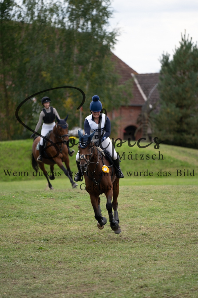 A7V03968 | Pferdefotograf