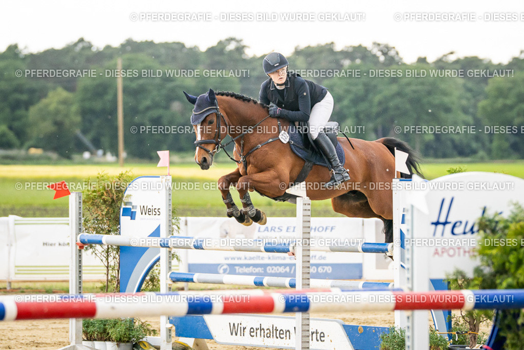 DSC06569 | Pferdegrafie