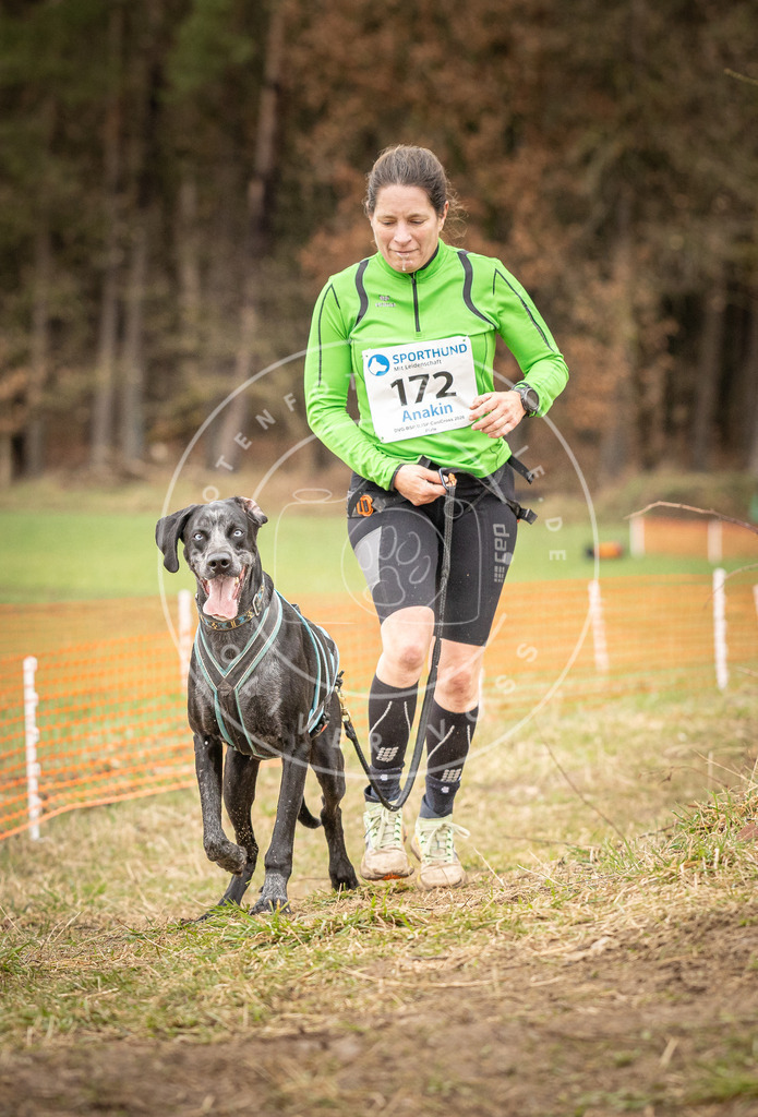 DV3A2326 | Hundefotografie, Tierfotograf, Pfotenfotografie, Fotoshooting Hund, Hunde Portrait, Hundesport, Hundeportraits, Heideshooting, Hunde, Sportfotograf, Hundefotograf, Turnierhundsport, THS,  - Realisiert mit Pictrs.com