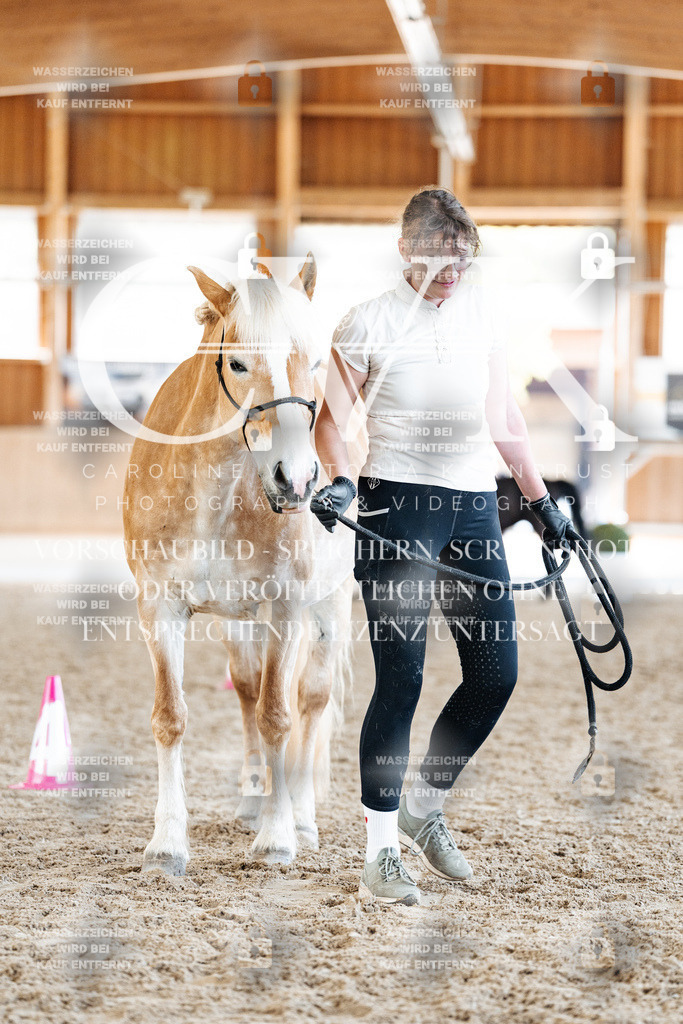 CK907353 | Turnierfotografie Pferdefotografie Trier Rheinland-Pfalz Pferdesport Reitsport Tierfotografie Sportfotografie Pferdevideo Pferdevideografie Equestrianvideography equestrianphotography  - Realisiert mit Pictrs.com