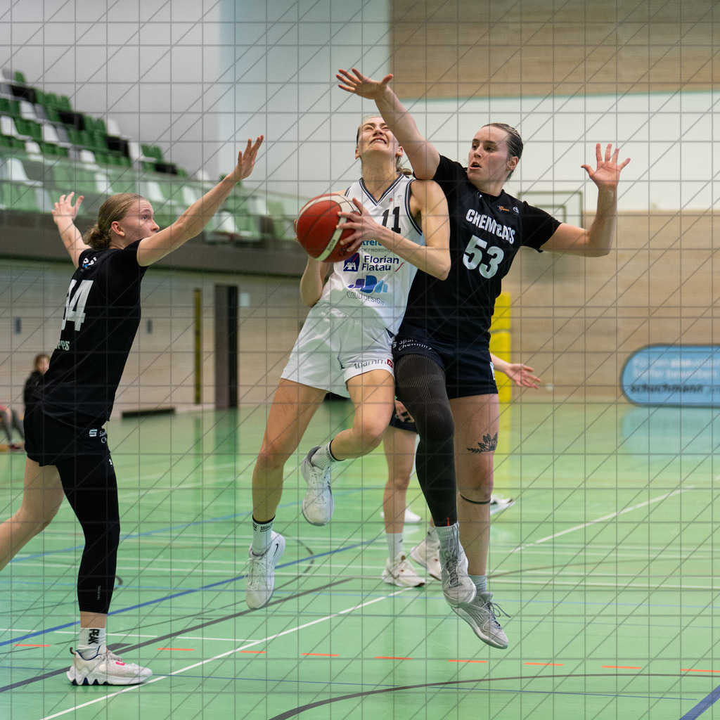 2. DBBL Nord 24/25 | 09.03.2025 | BBC OS vs. ChemCats Chemnitz | 2. DBBL Nord 24/25 | 09.03.2025 | BBC OS vs. ChemCats Chemnitz - - - - - CREDIT, www.bullenfotos.de, Martin König, Hörner Weg 40, D-49078 Osnabrück, +4917663732967, Nutzung und Weitergabe nur zu den vereinbarten Zwecken. Presseanfragen an Urheber. Alle Rechte beim Urheber. - - - - - - Realisiert mit Pictrs.com