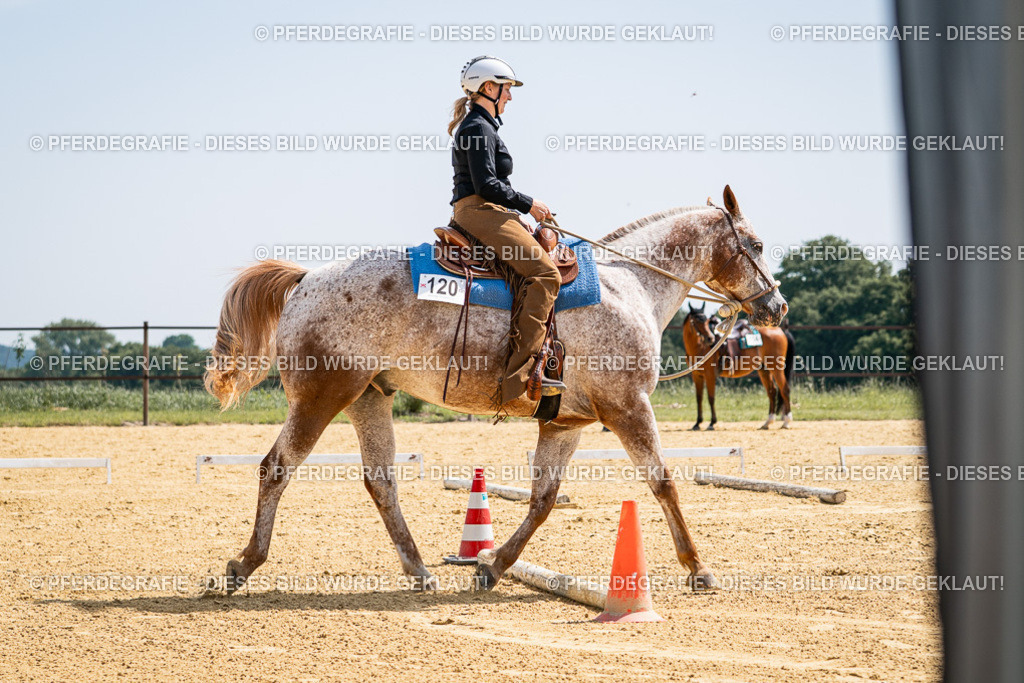 DSC00584 | Pferdegrafie