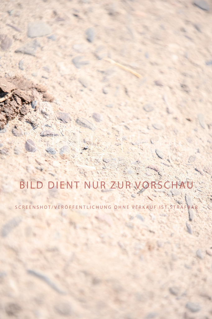 Schugtsche-Aluta25-52.Dressurprf.M2Kand-276 | Schugtsche Fotografie - Realizzato con Pictrs.com