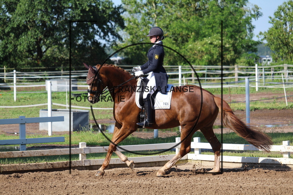 IMG_6409 | franziskalange - Realisiert mit Pictrs.com